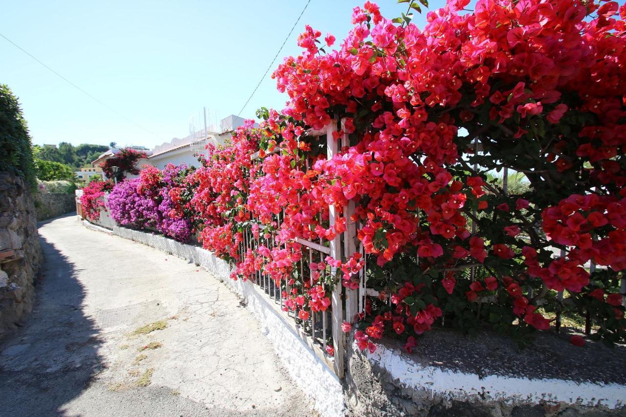 Lacco Terrace Solarium Lacco Ameno  Luaran gambar